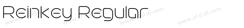 Reinkey Regular字体转换